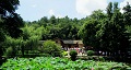 長(zhǎng)沙出發(fā)到花明樓、韶山、張家界國(guó)家森林公園、天門(mén)仙山國(guó)家森林公園四日游